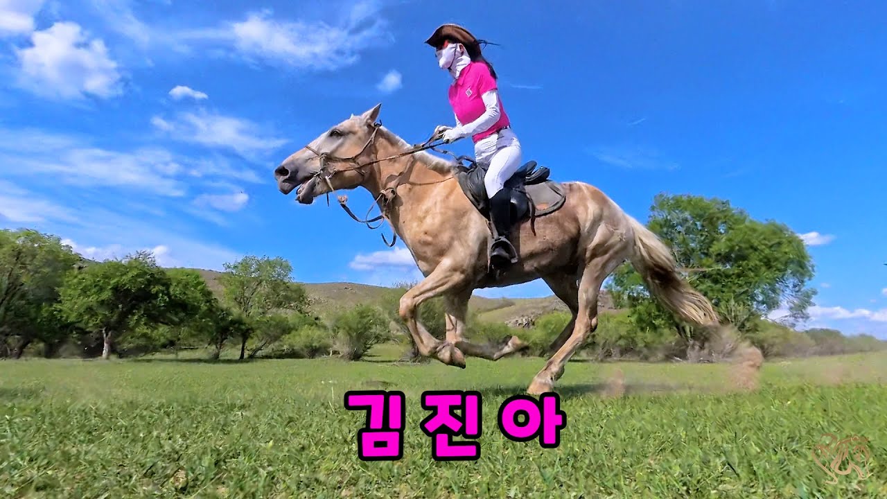 김진아