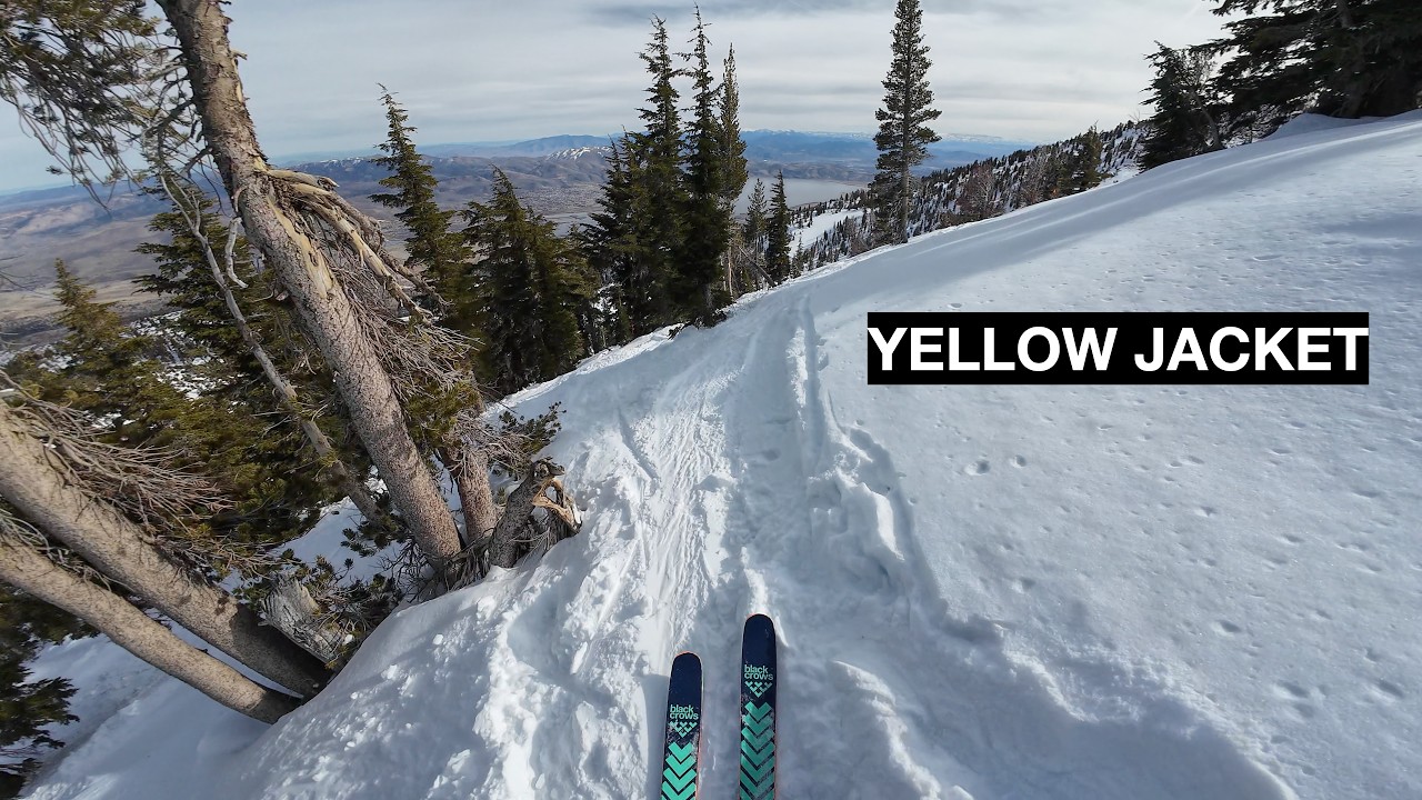 Yellow Jacket - The Chutes - Mt.  Rose, NV