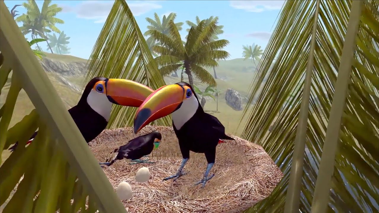 Toucan Bird Simulator  Ultimate Bird Simulator