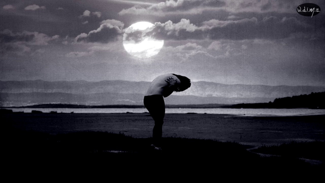 A Light In The Dark - Self Dissonance