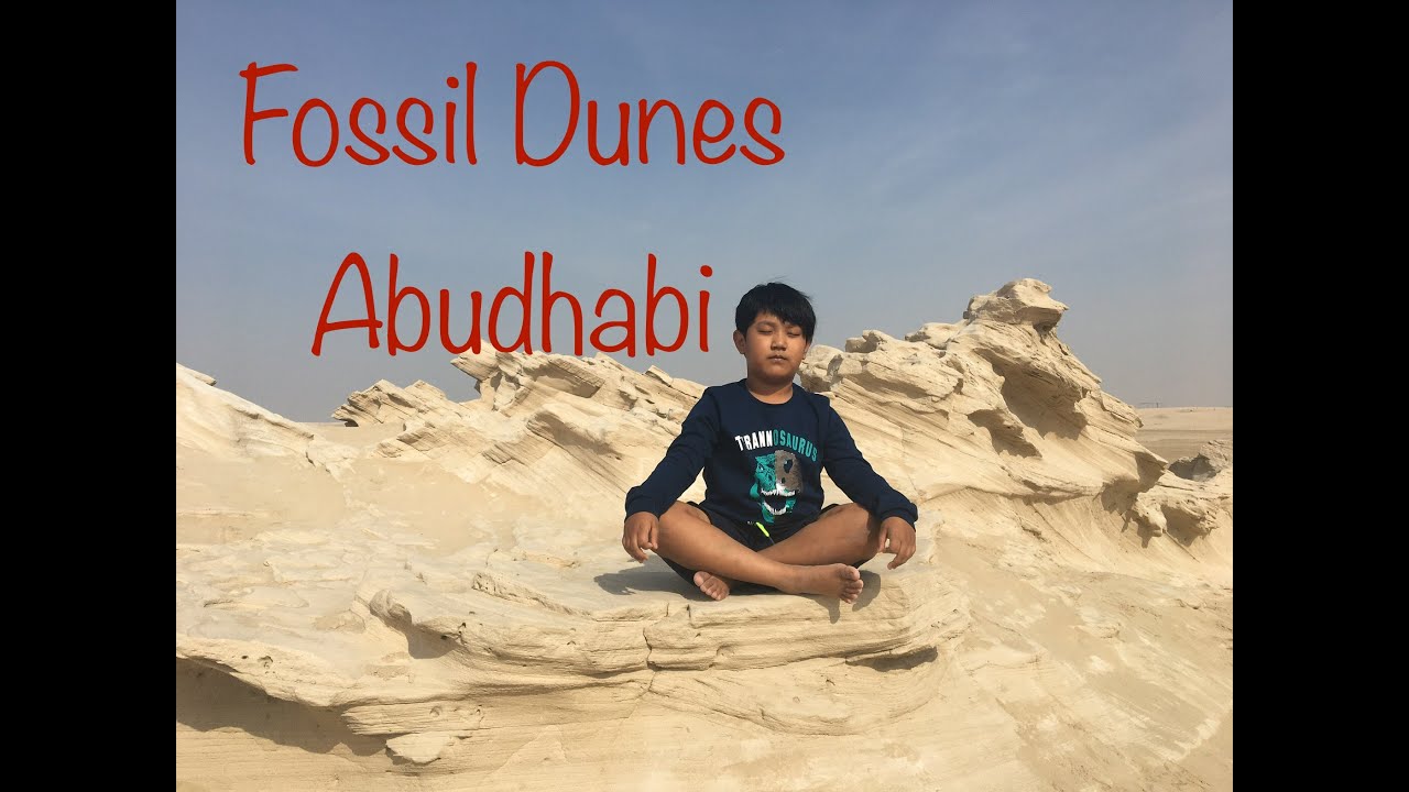 Fossil Dunes Abudhabi/AlWathba Fossildunes