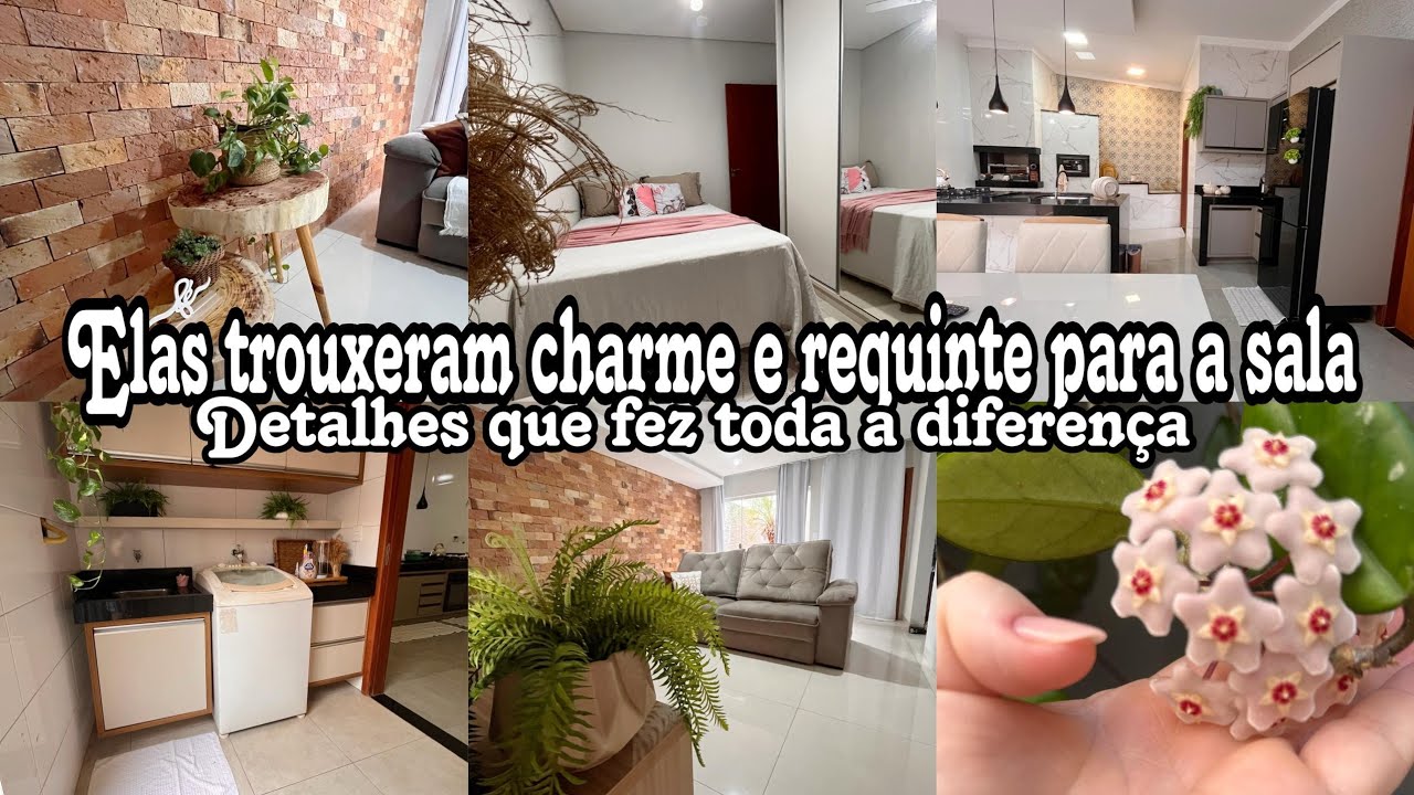 Elas chegaram e deu todo charme na sala+cuidados com o lar +almoco