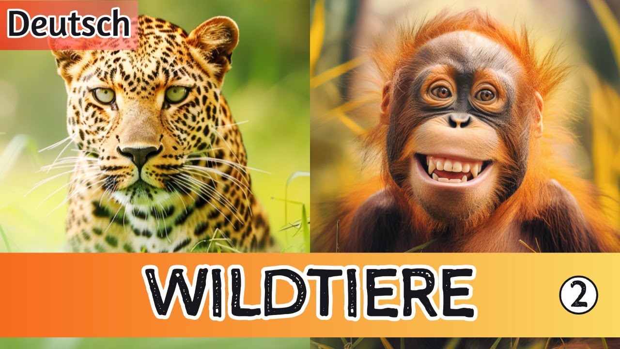 Kennenlernen der Wildtiere: Ein Muss mit Deinen Kindern! (Teil 2)