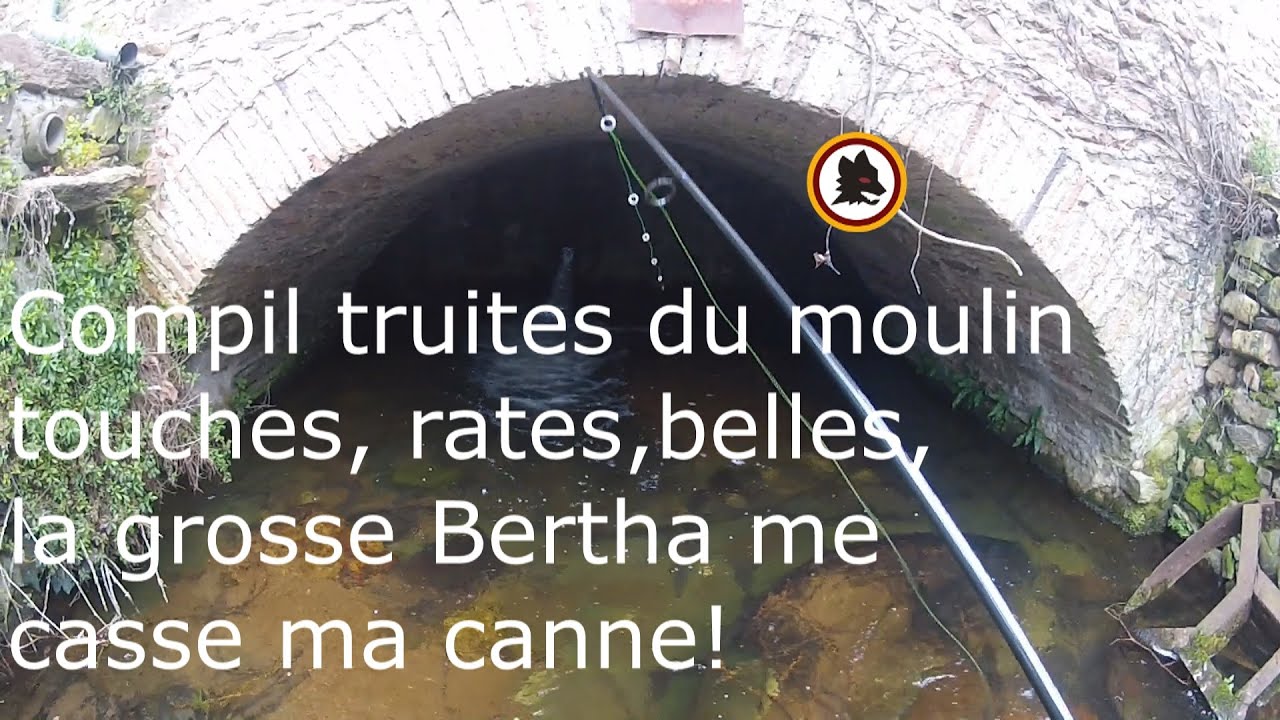 LES BELLES TRUITES DU MOULIN  (COMPILATION)
