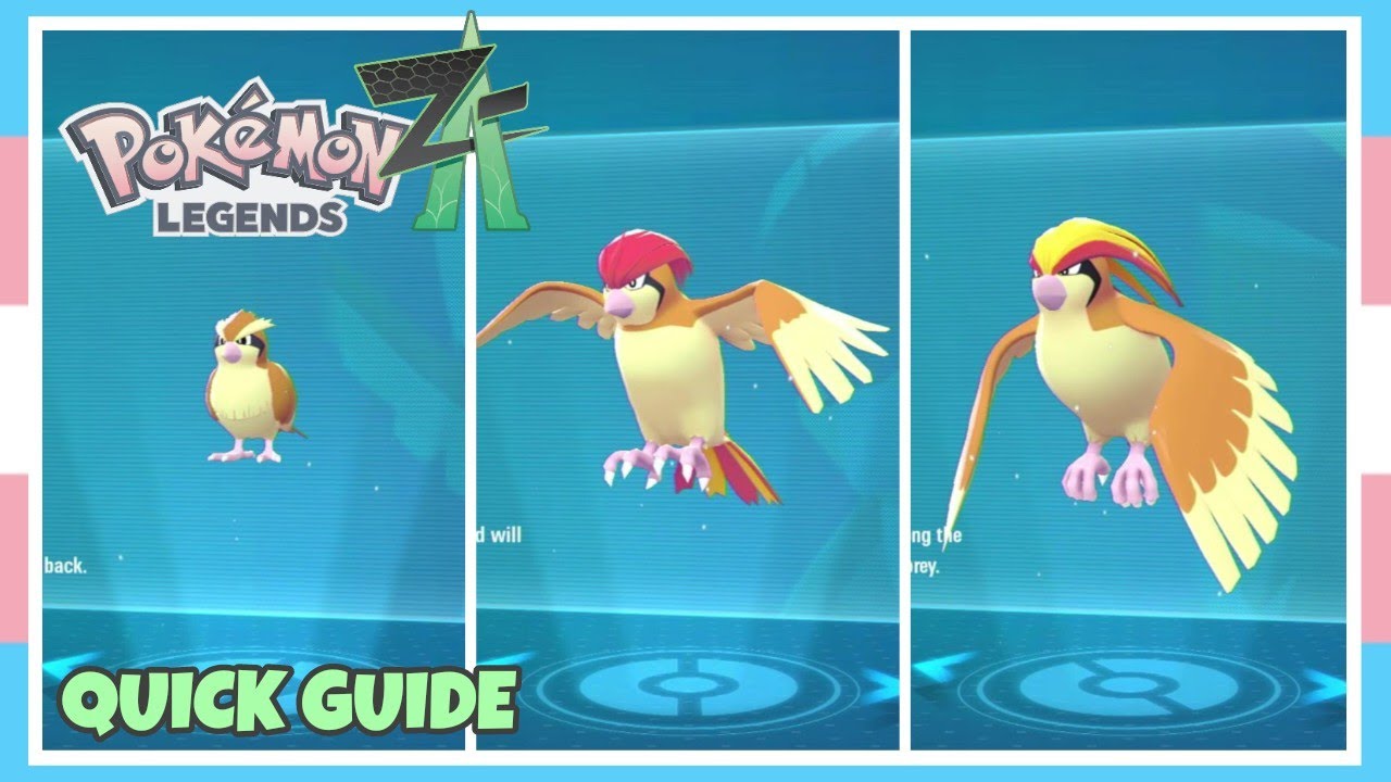How To Evolve Pidgey Into Pidgeotto Into Pidgeot In Pokemon Legends ZA | Quick Guide