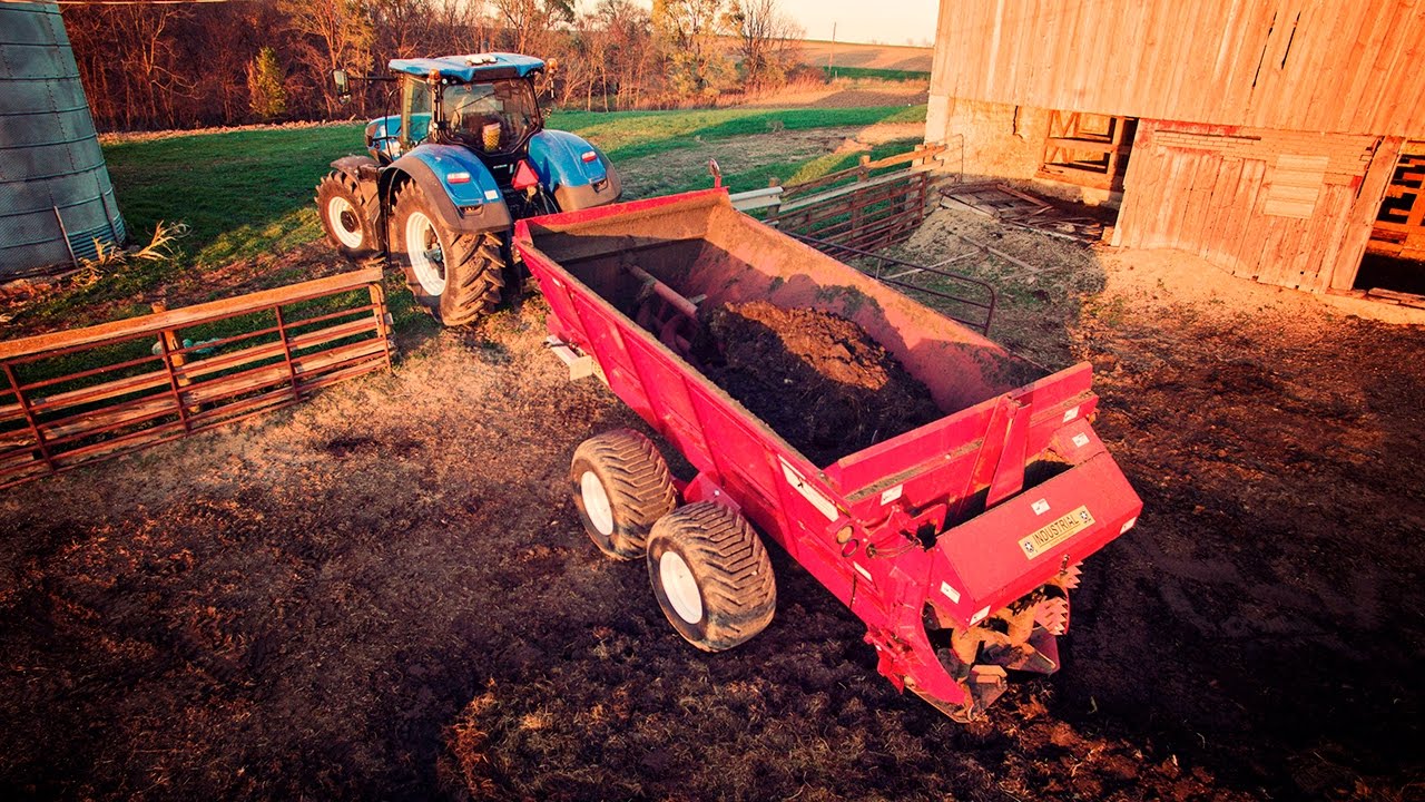 Уборка скотного двора - промышленный разбрасыватель Meyer 8720 и трактор New Holland T7.315