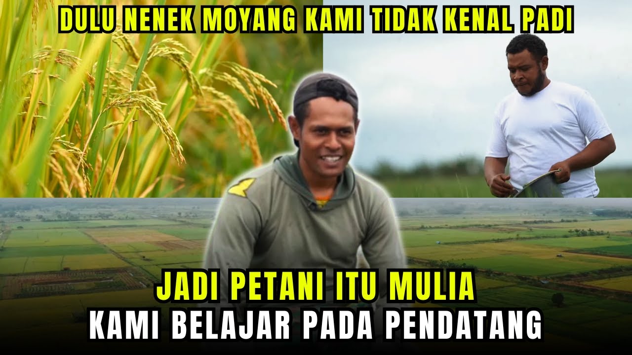 Jokowi Revolusi Merauke SIAP Menuju Lumbung Pangan Baru Nasional Indonesia