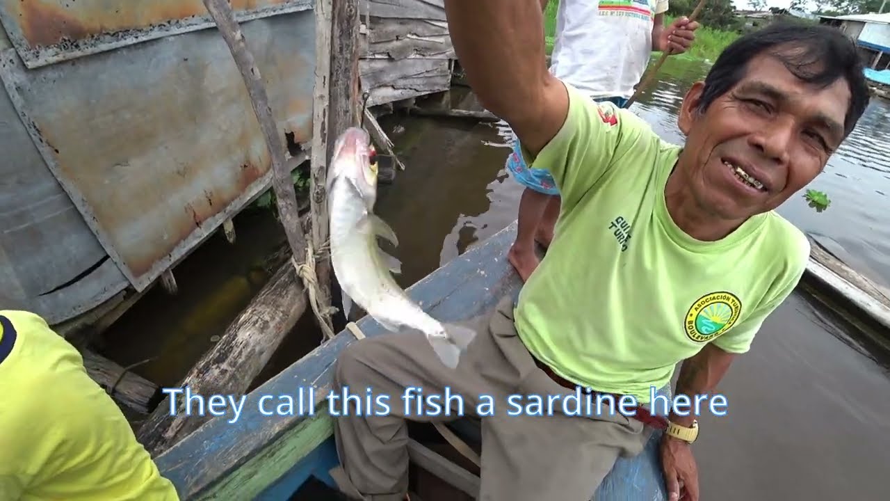Piranha Fishing in the Amazon Jungle - Iquitos, Peru