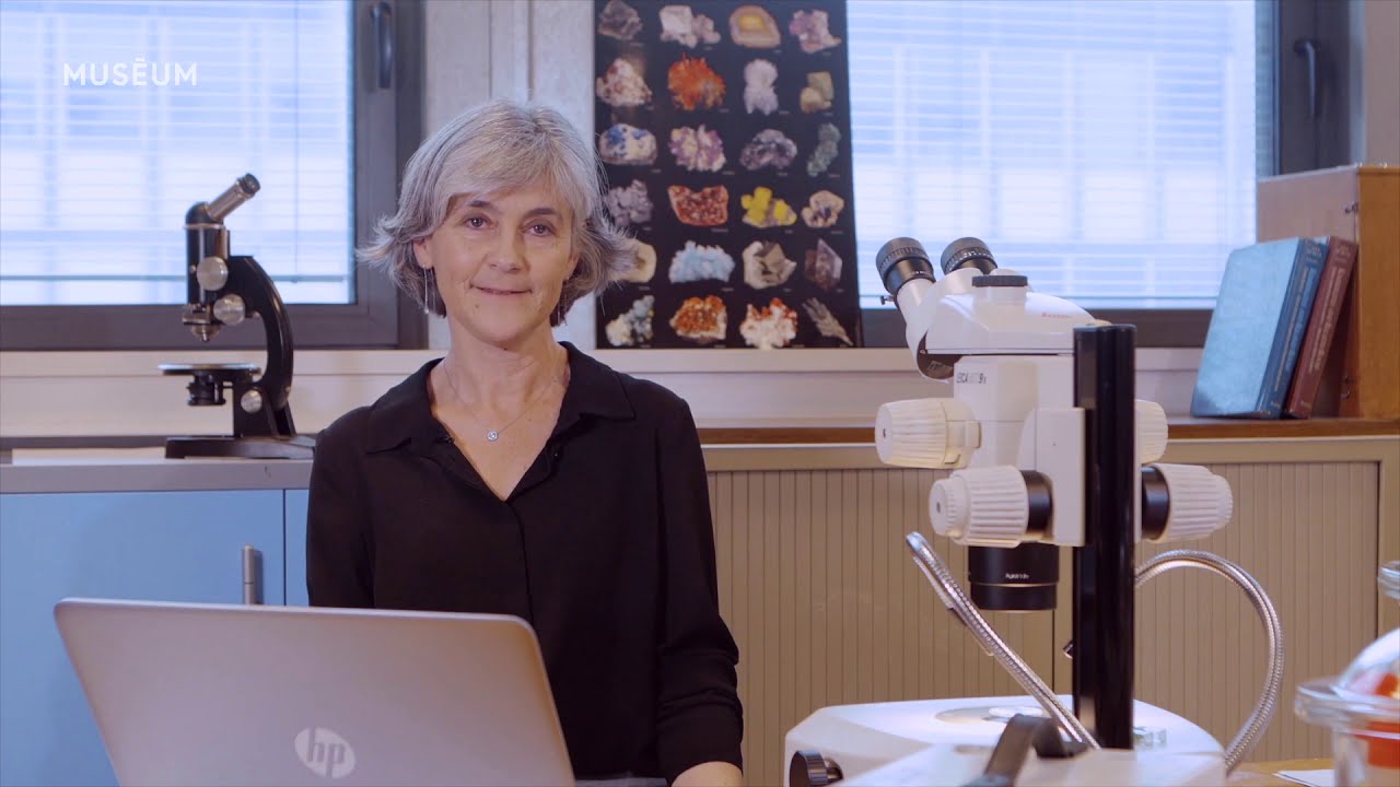 L'origine des pierres précieuses | Le diamant