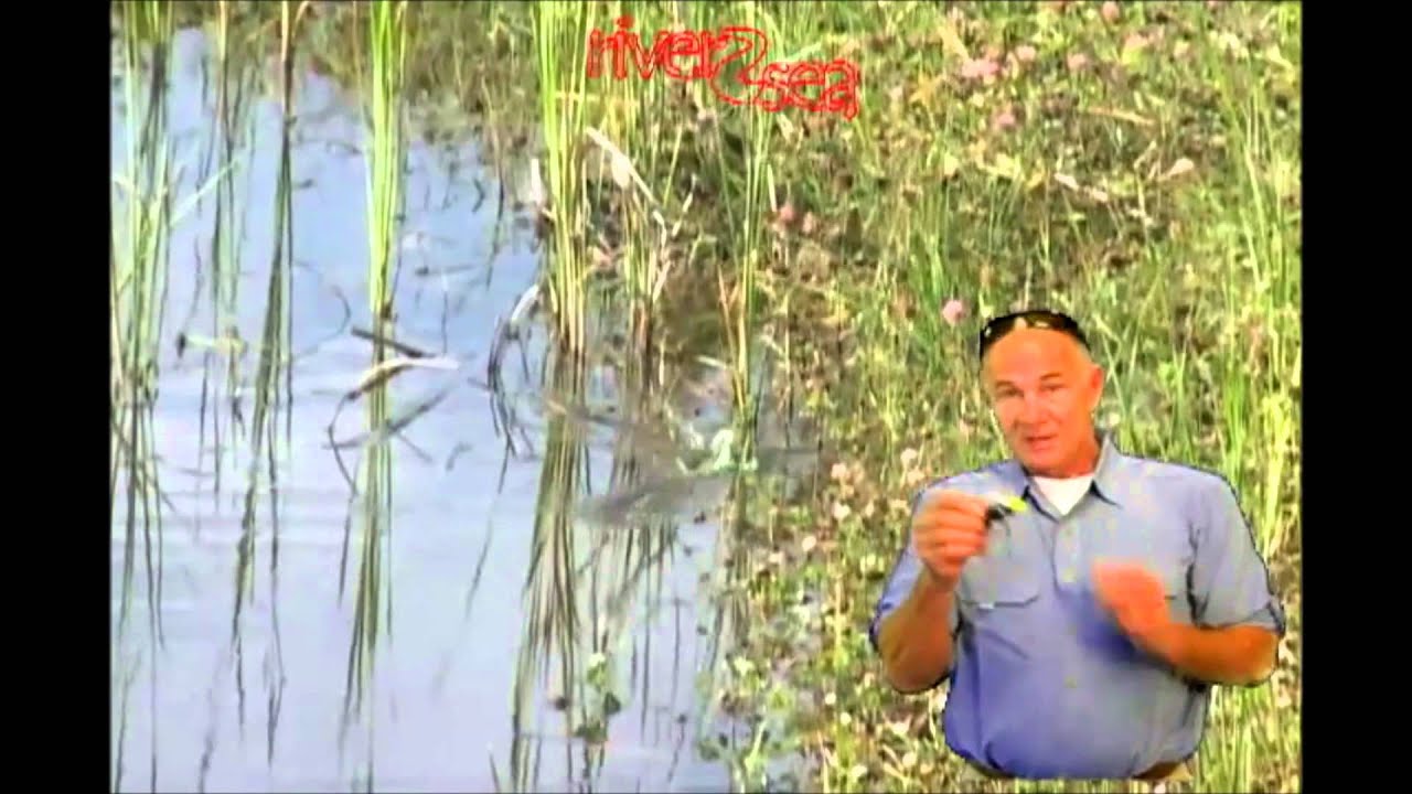 Dahlberg Diver Frog River2Sea Produktvideo 2