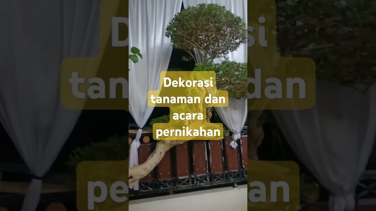 decorasi tanaman dan acara pernikahan