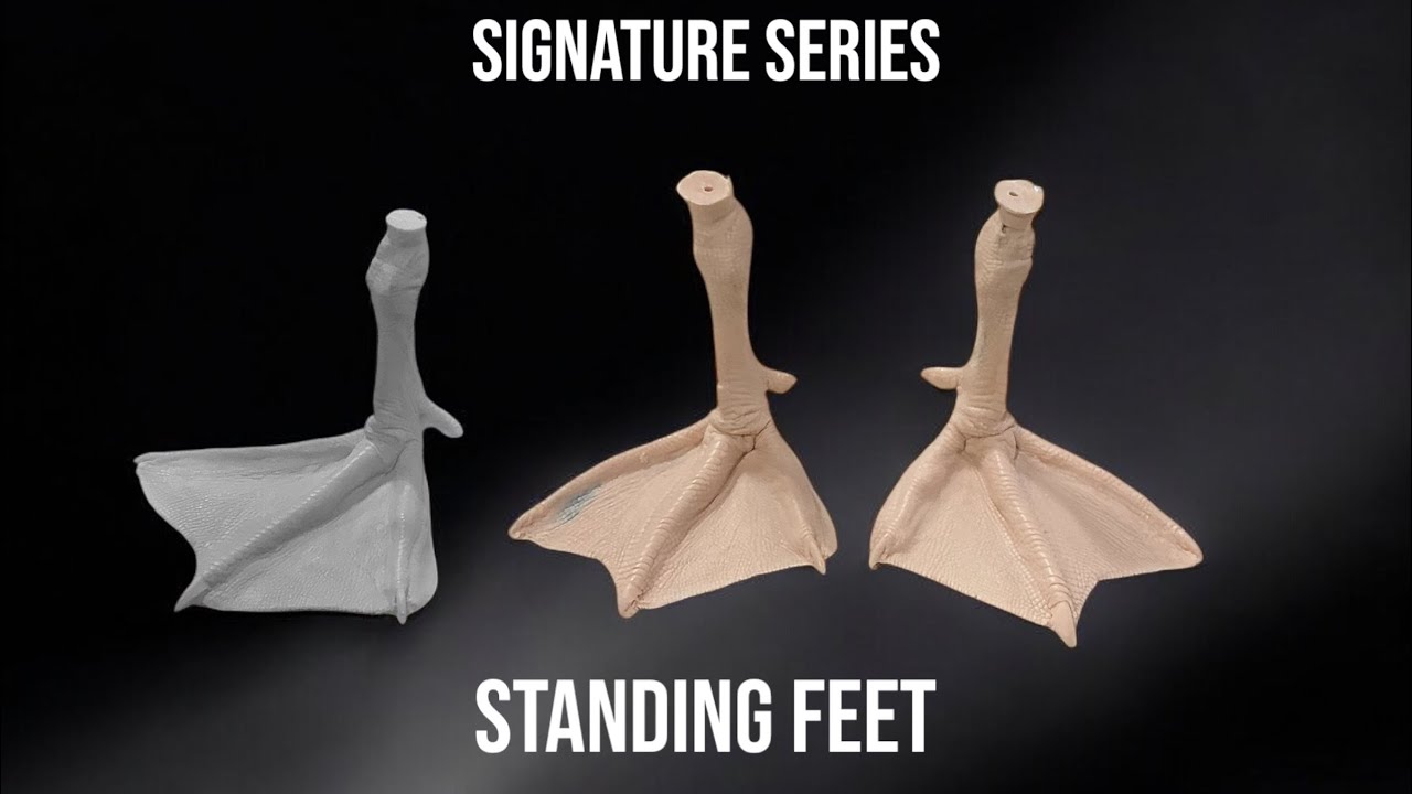 Wire and Shape Artificial Bird Feet - RMM Taxidermy Supplies