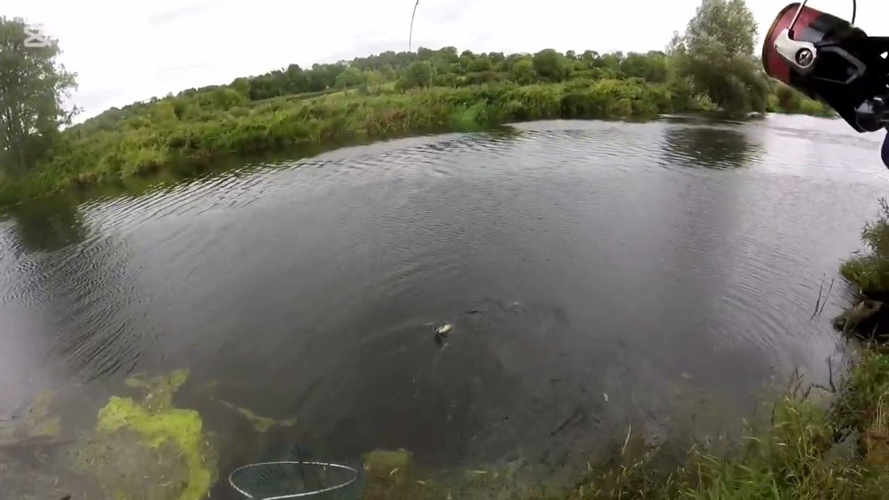 Irish salmon angling 