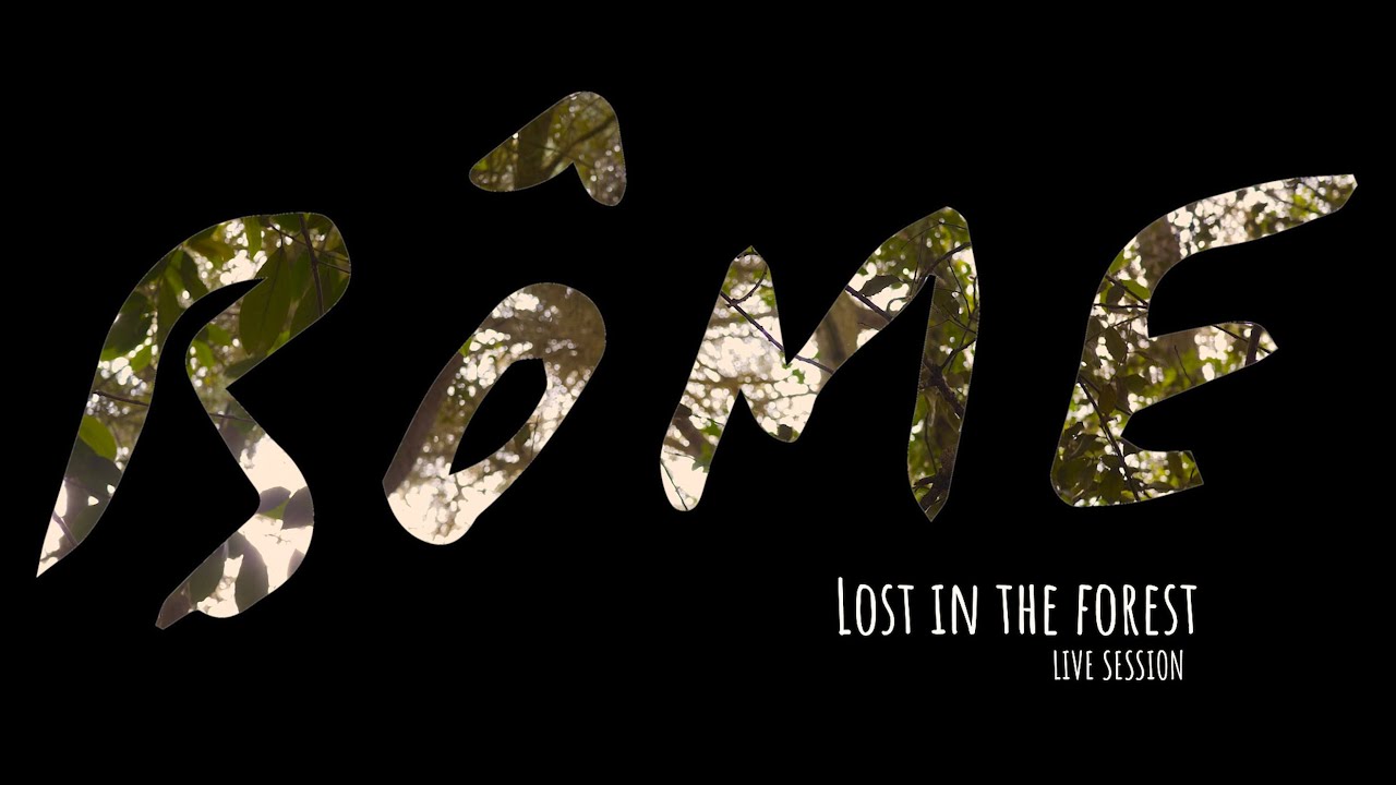Lost In The Forest (Live)