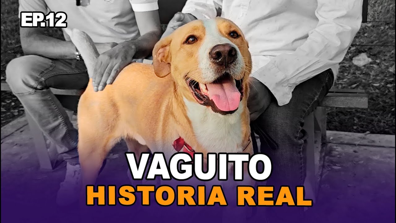 HISTORIA REAL DE VAGUITO🐶😫 I TEMPORADA 2 I EPISODIO 12