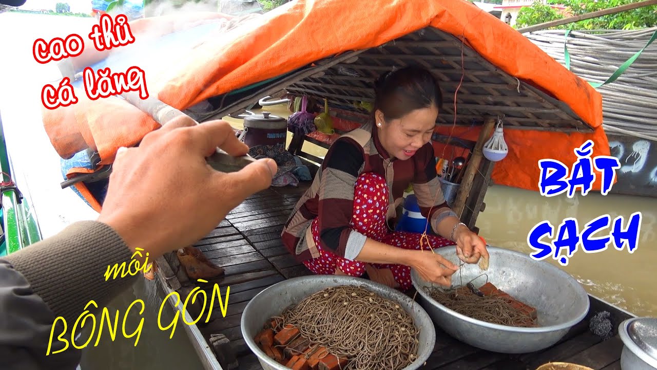 Cao Thủ Giăng Câu Cá Lăng - Bắt Sạch CÁ LĂNG Chỉ Cần 1 Miếng BÔNG GÒN Và BÀI THUỐC GIA TRUYỀN