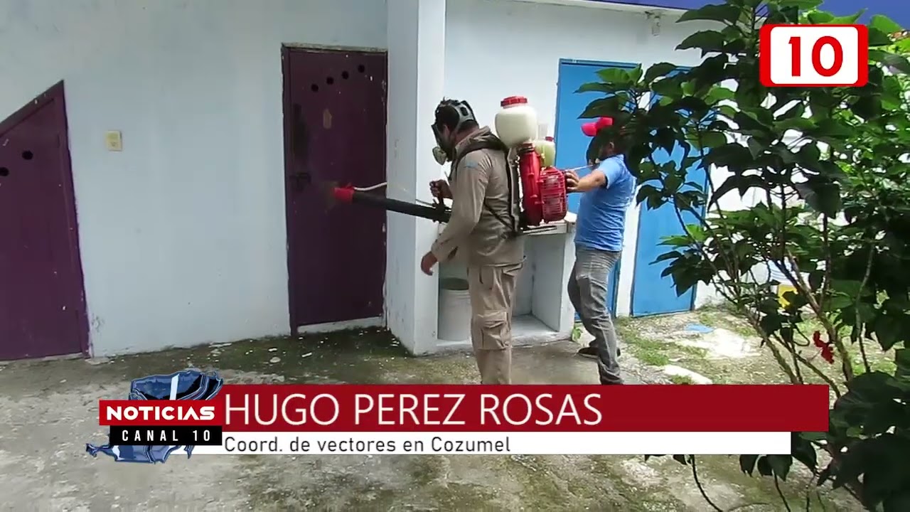 Refuerzan acciones contra el dengue en Cozumel