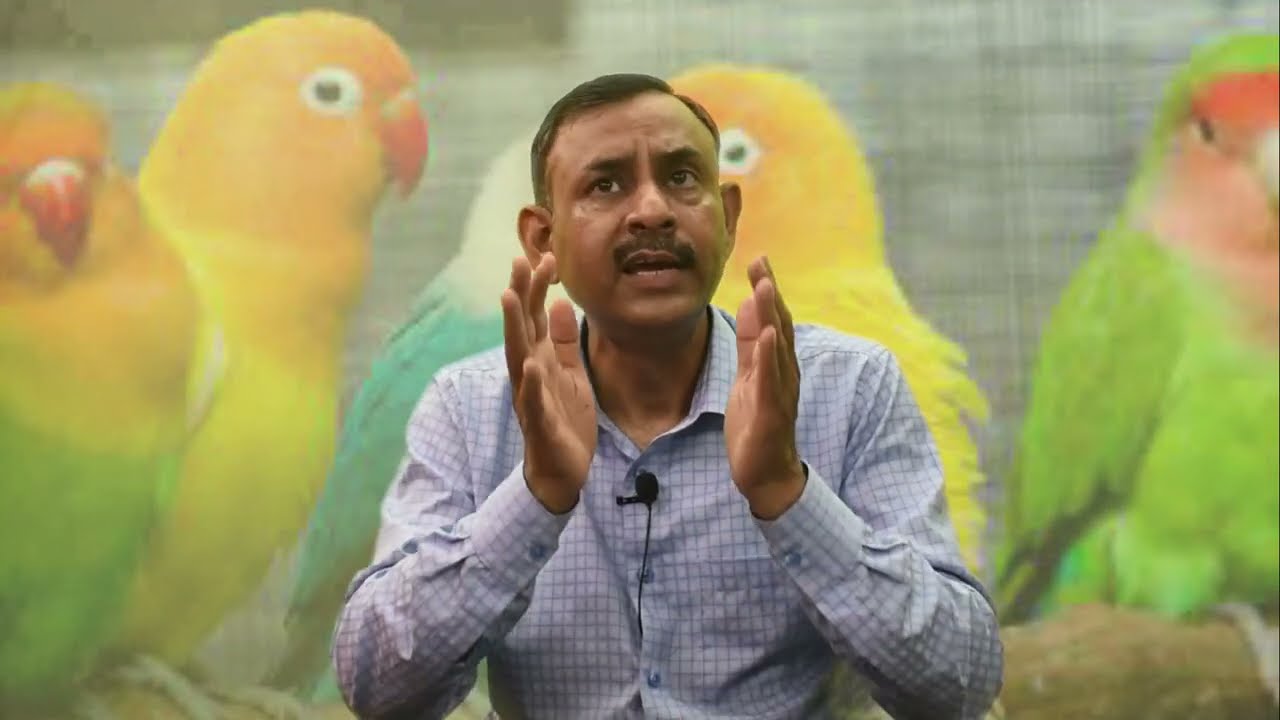 पक्षियों को दिन में कितनी बार खाना देना चाहिए || क्या क्या खाने में देना चाहिए || Dr Nagender Yadav