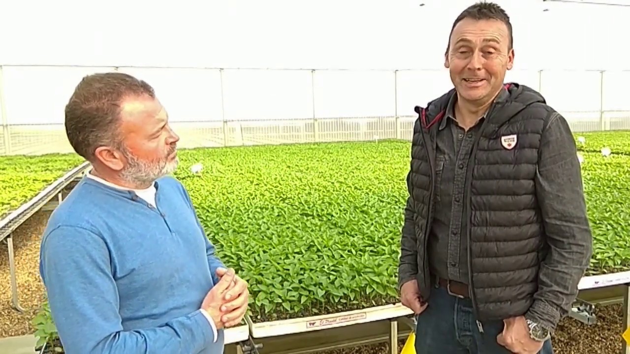 Francisco Fern&aacute;ndez (Murgiverde) sobre Insider de Biosur