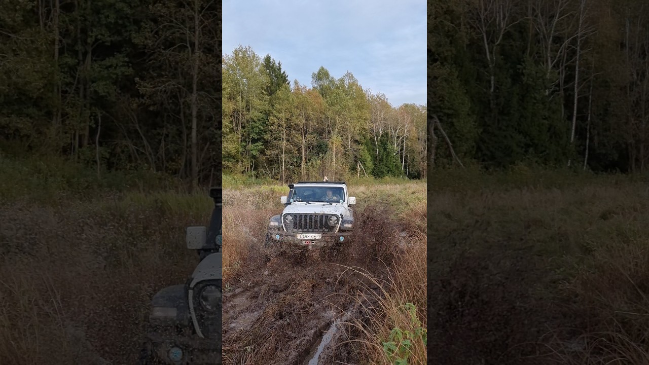 Jeep Wrangler в действии: экстремальный тест-драйв