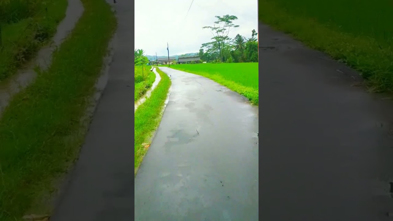 perjalanan indah #nature #perjalanan #pemandanganbagus #jalanindah #traveling #alamindah #jalanjalan