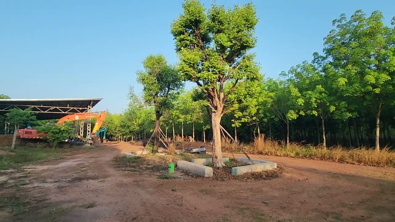 อัพเดตบ้านเหลาน้อย....ว่าจะขอเลขที่บ้านให้