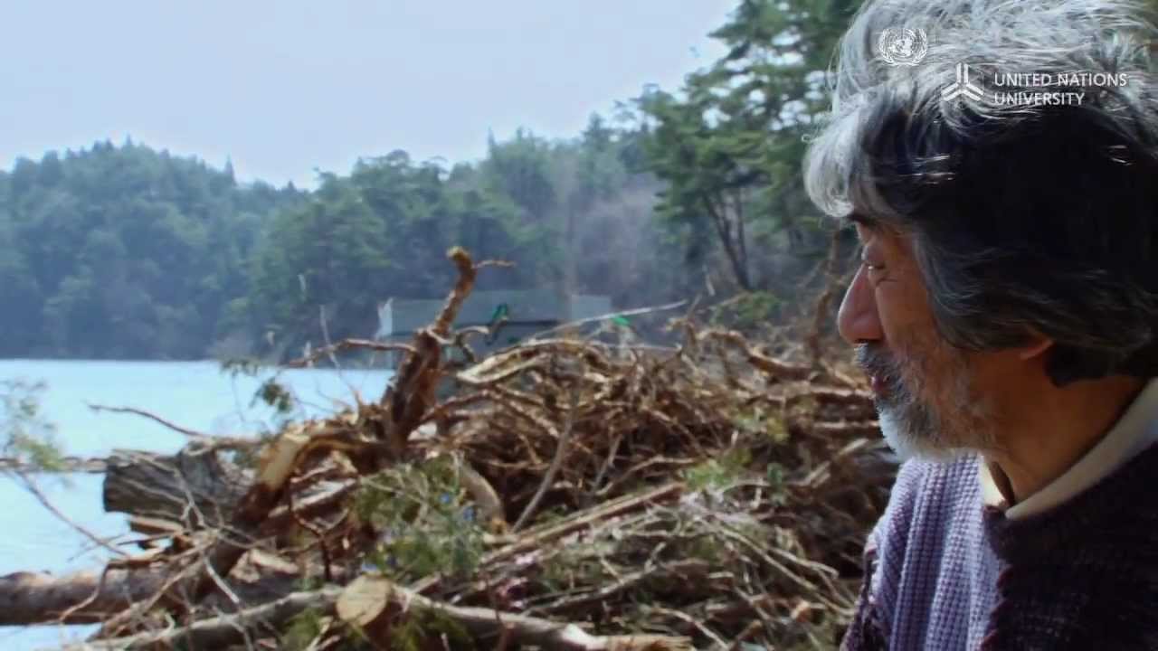From Mountain to Sea: A Vision to Rebuild Tohoku