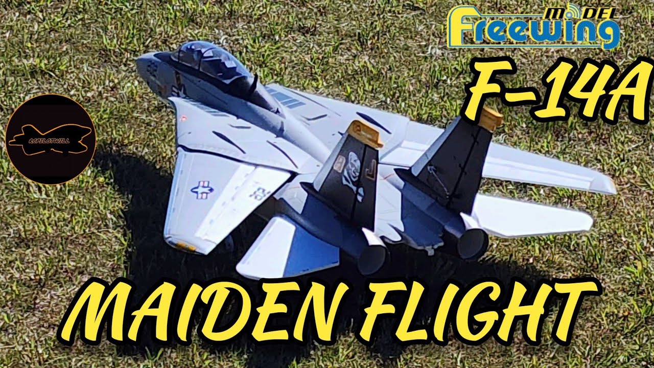 Maiden Flight of the Freewing Twin 64mm F-14 Tomcat #rcplane #freewing #aviation