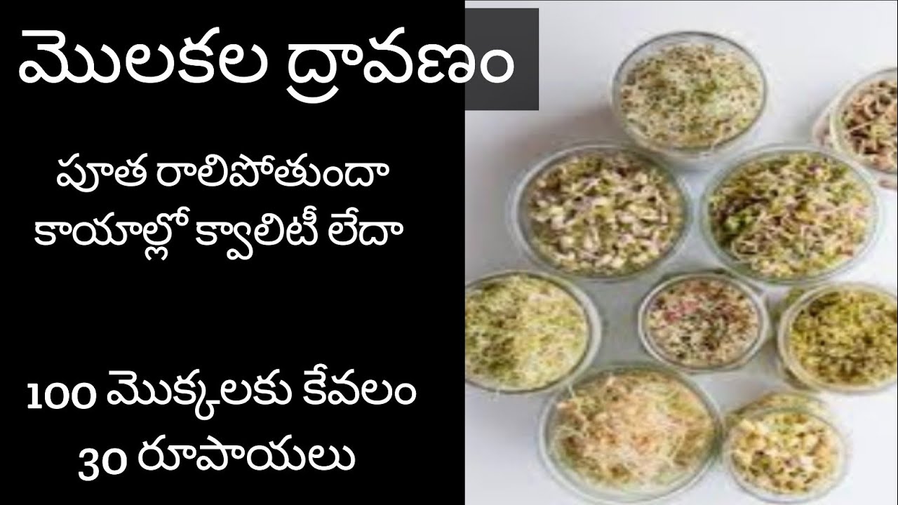 190.మొక్కలకు మొలకల ద్రావణం. MICRO NUTRIENTS and  PLANT HORMONS for plants.