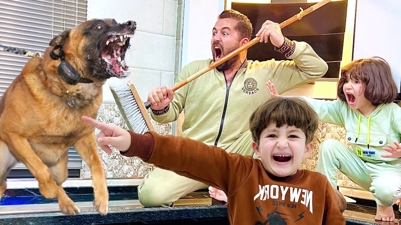 لما ابنك الصغير يجيب كلاب على البيت 🐕 😂