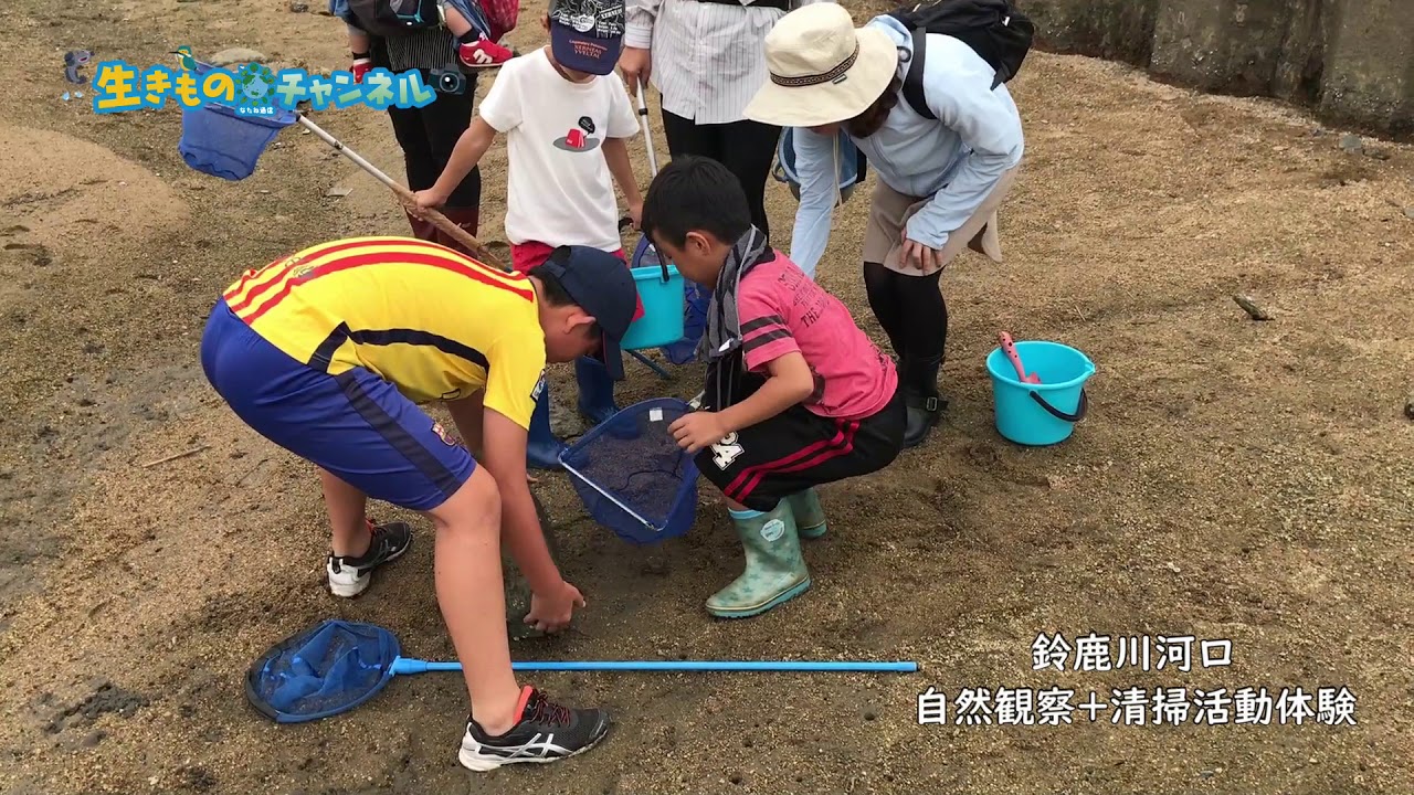 20190827　鈴鹿川河口自然観察会