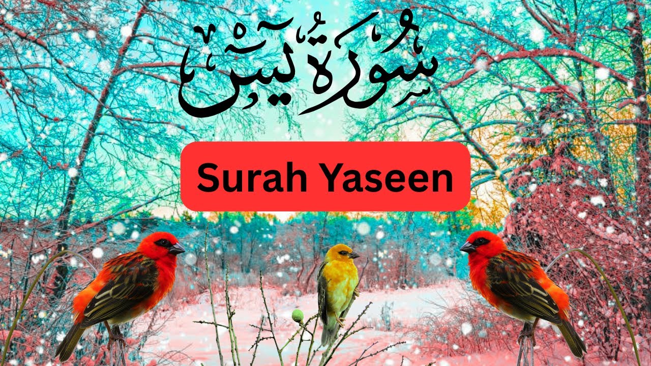 Surah Yaseen (سورۃ یٰس) | Complete Recitation | Heart-Touching Quran #surahyaseen