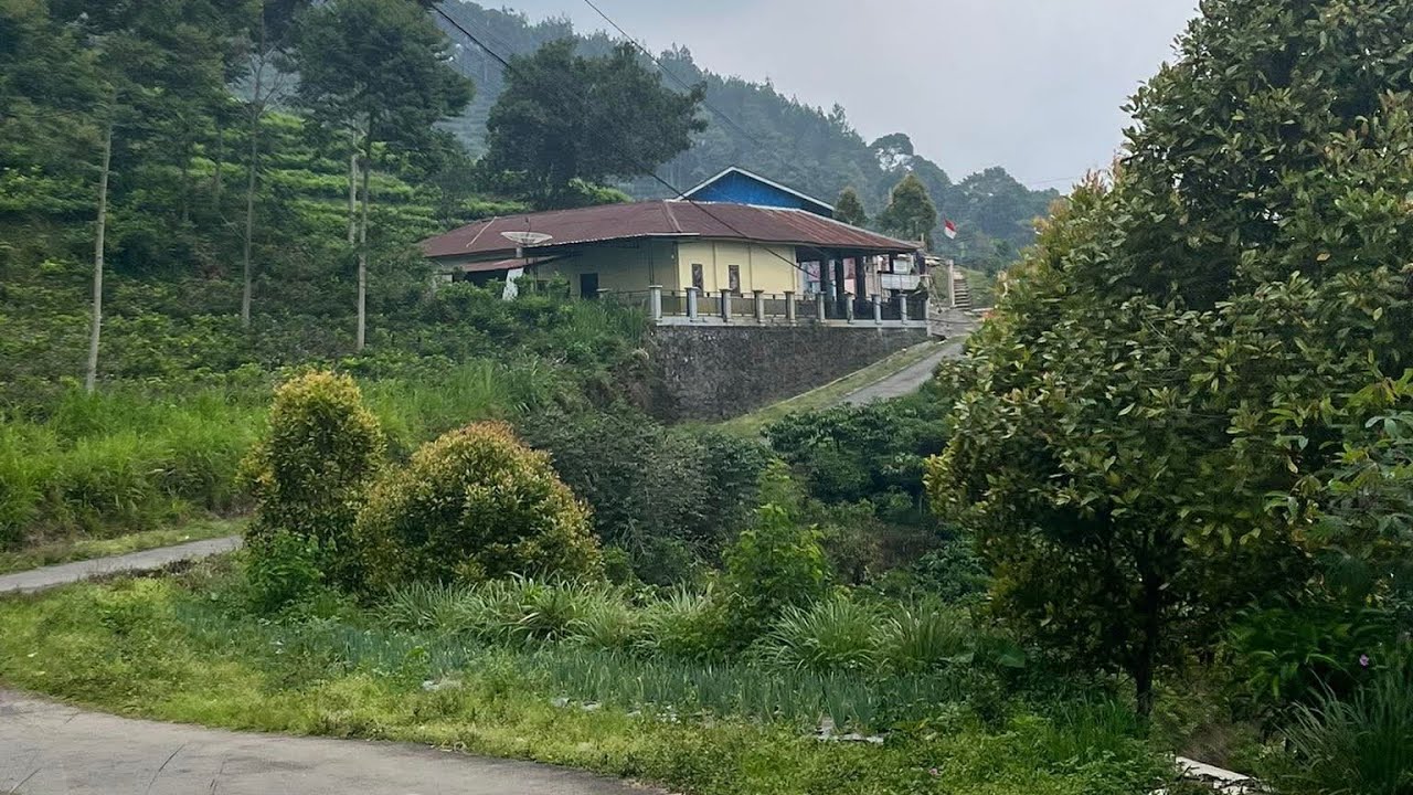 Desa Tertinggi Di Kec Reban Kab Batang/ Perjalanan Dari Menuju Desa Mojotengah