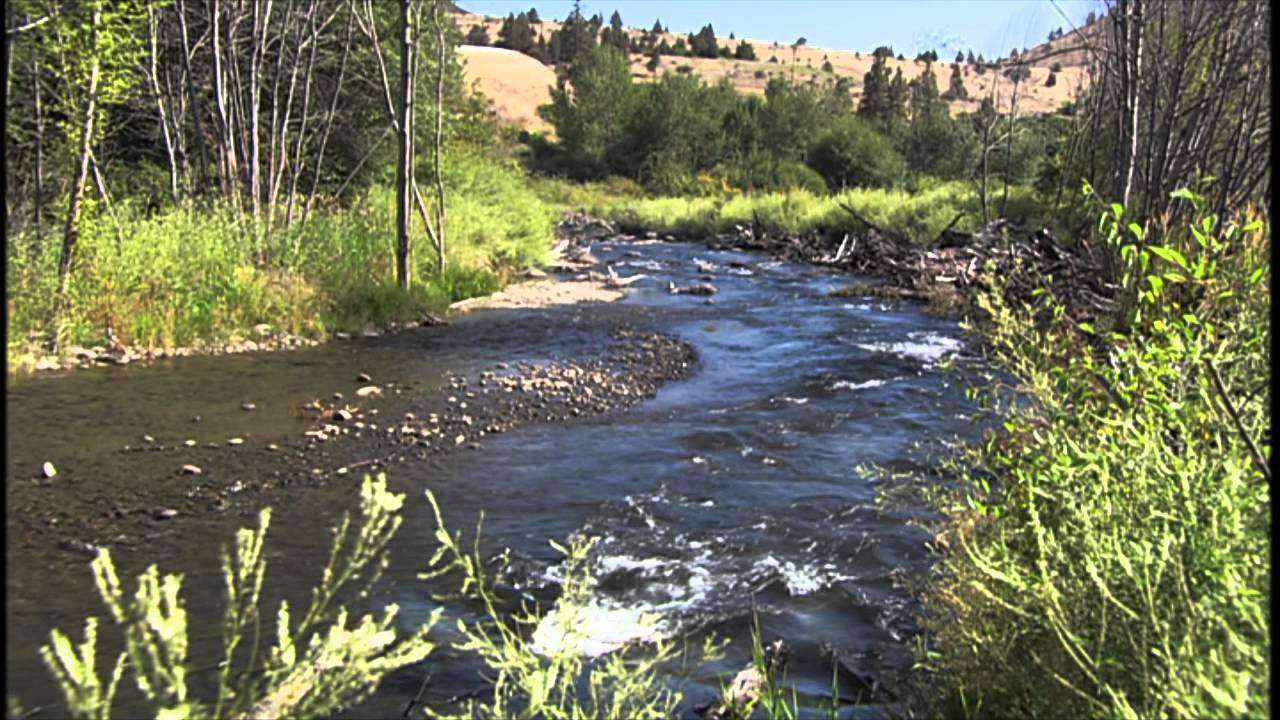 Fish Habitat Improvements on the Deschutes River