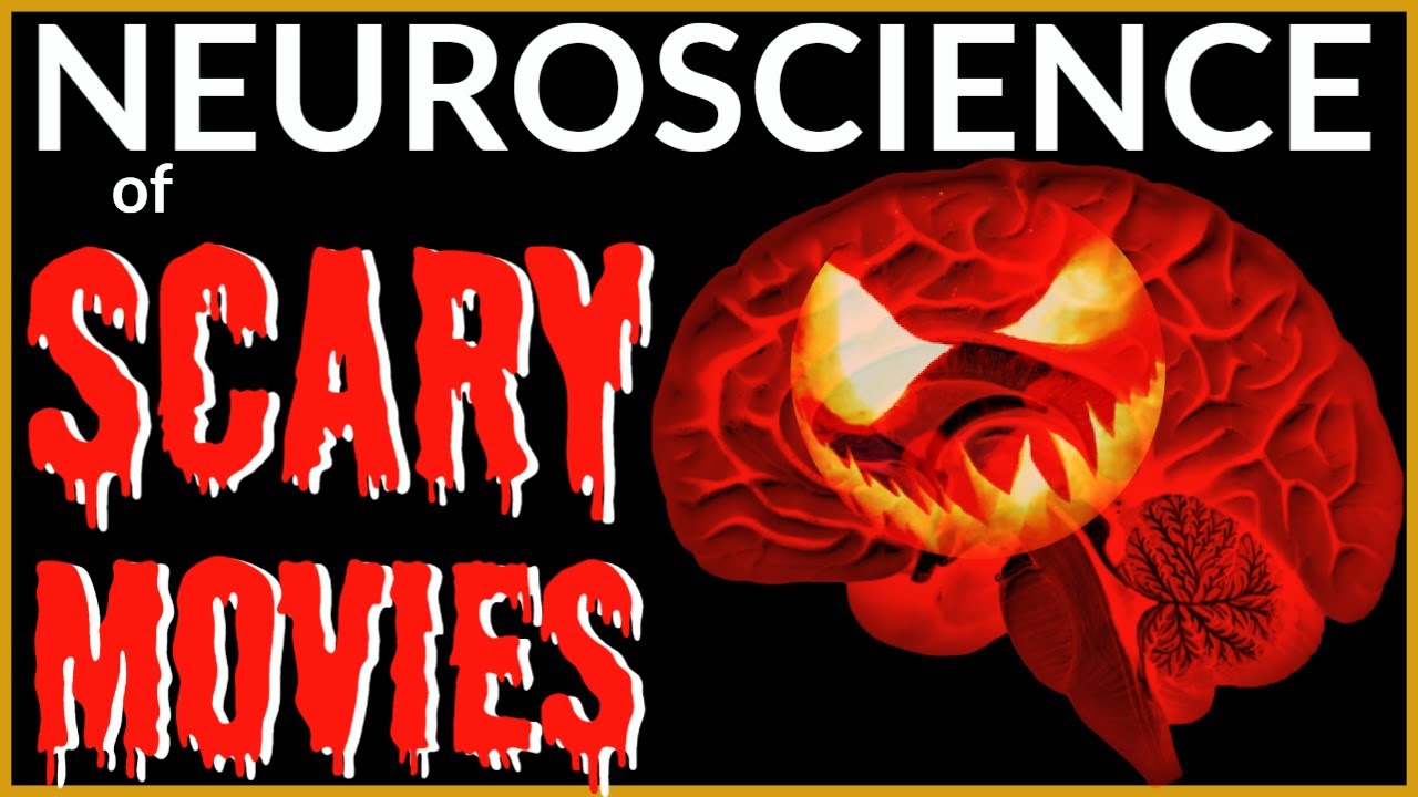 Horror Movies MANIPULATE YOUR BRAIN (the neuroscience of scary movies)