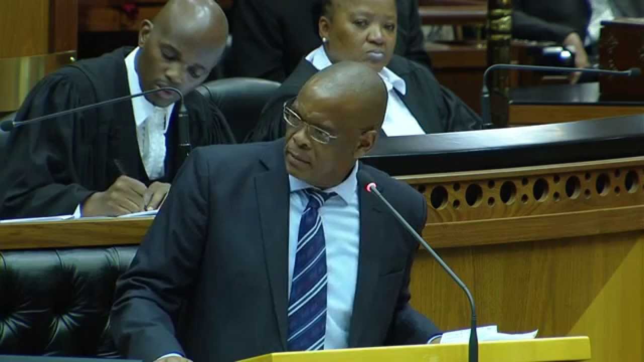 Joint Sitting: Debate on the State of the Nation Address, 17 February 2015