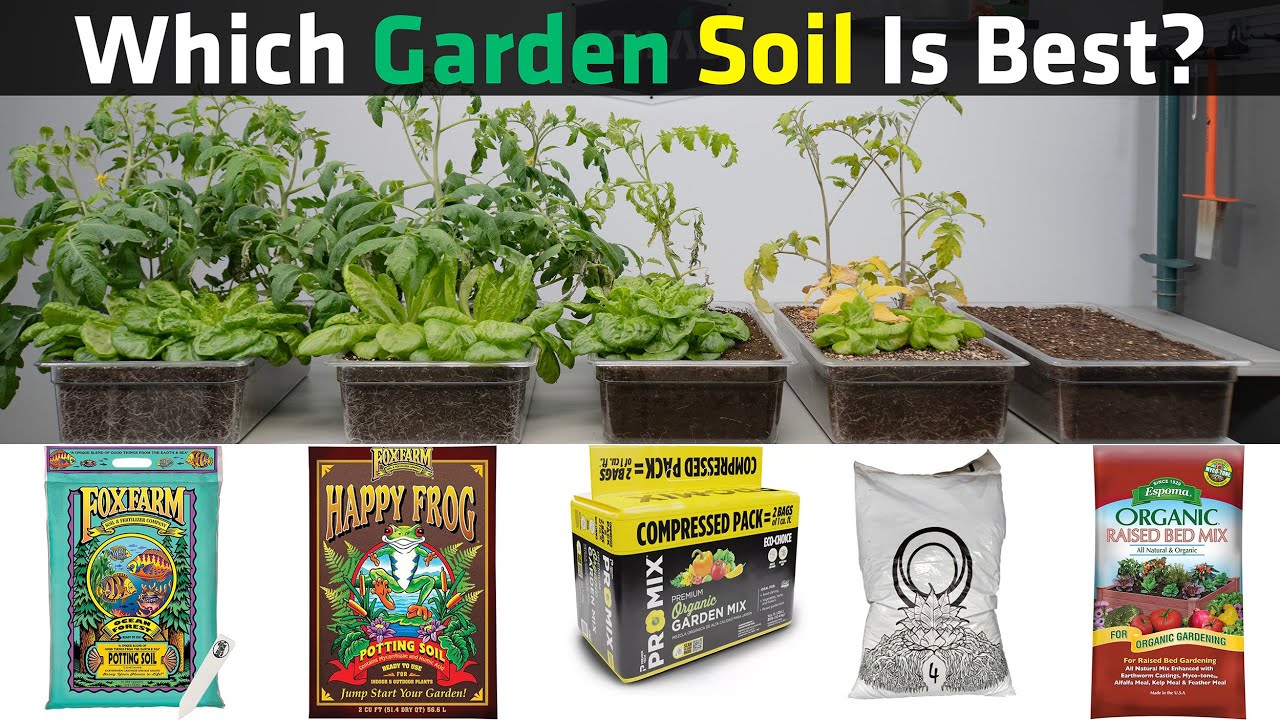 Which Potting Soil Is Best? Fox Farms, Pro Mix, Espoma, and Nectar For The Gods | Collection 2