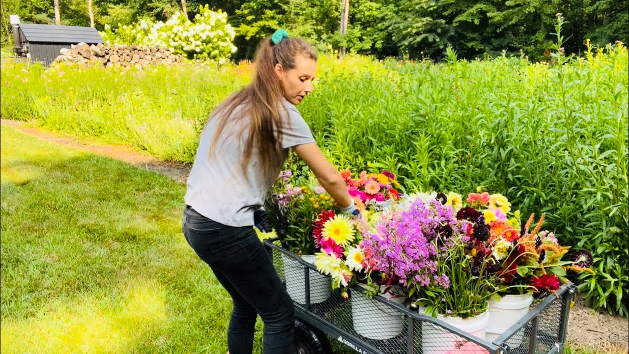 Cutting flowers for my neighbor!