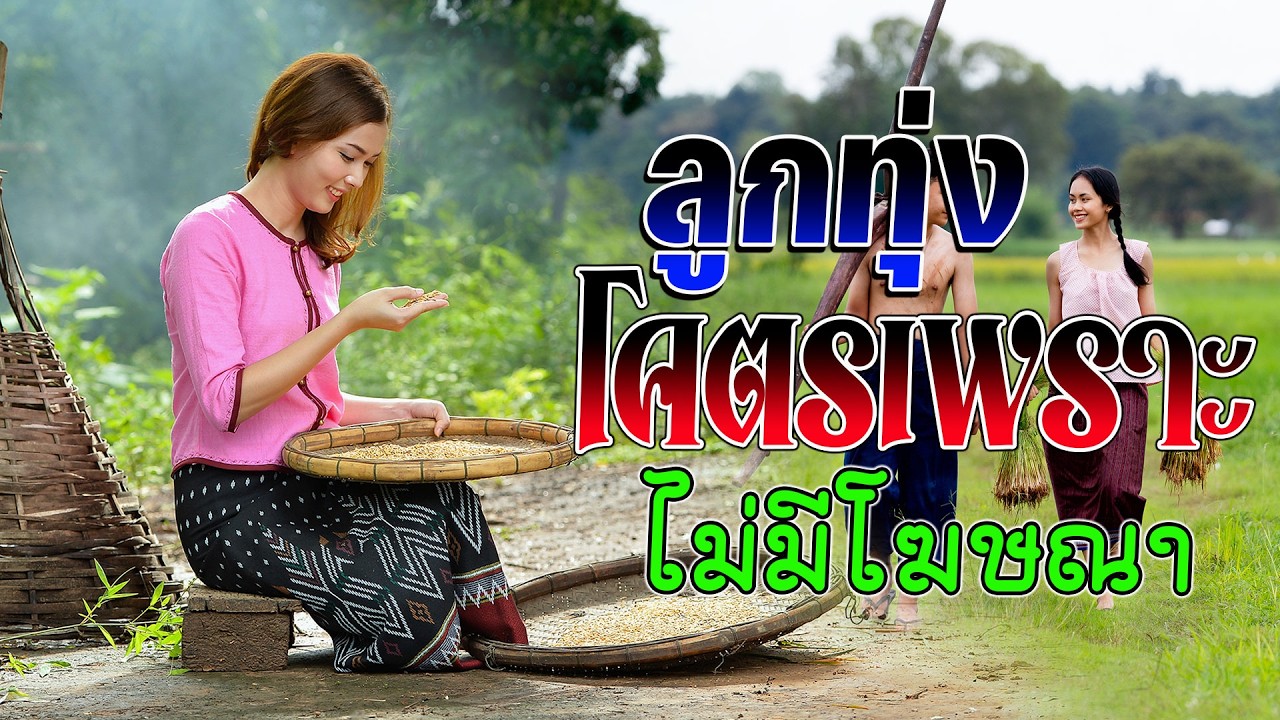 ลูกทุ่งรวมเพลงเพราะมาก : รวมเพลง ลูกทุ่งฮิตที่สุด ฟังต่อเนื่อง #เพลงลูกทุ่งมาแรง
