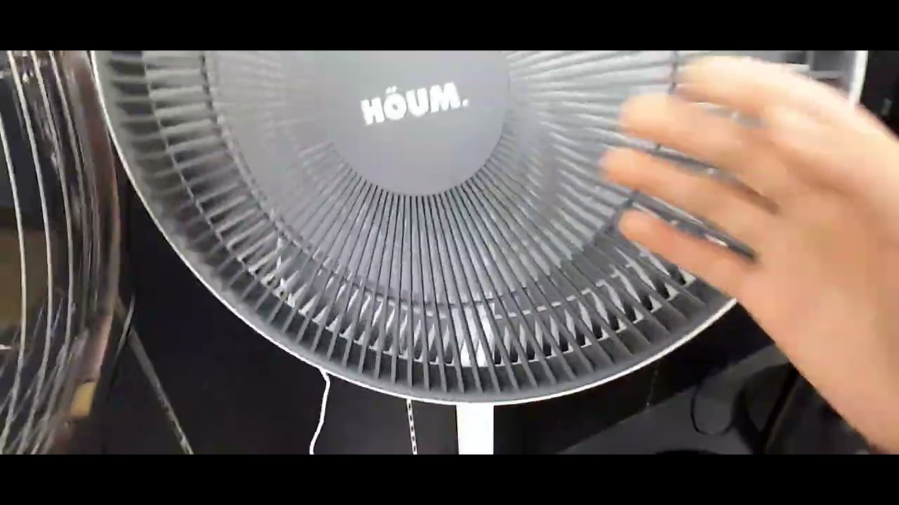 Fans at SenQ