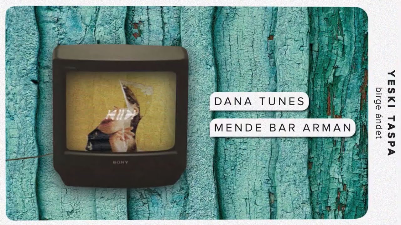 Dana Tunes - Mende bar arman // ТЕКСТ