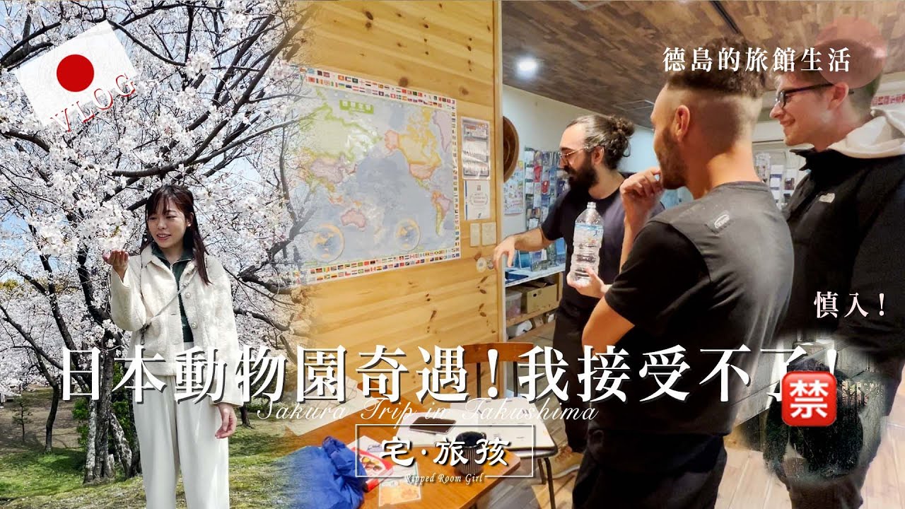 【四國旅居Vlog】慎入⛔ 大猩猩居然對我做了這樣的事！😨  ｜旅館遇上國旗高手之間的比賽 🇧🇧🇰🇭🇬🇪 ｜我的第一個櫻花季節🌸 | 宅·旅孩🍒