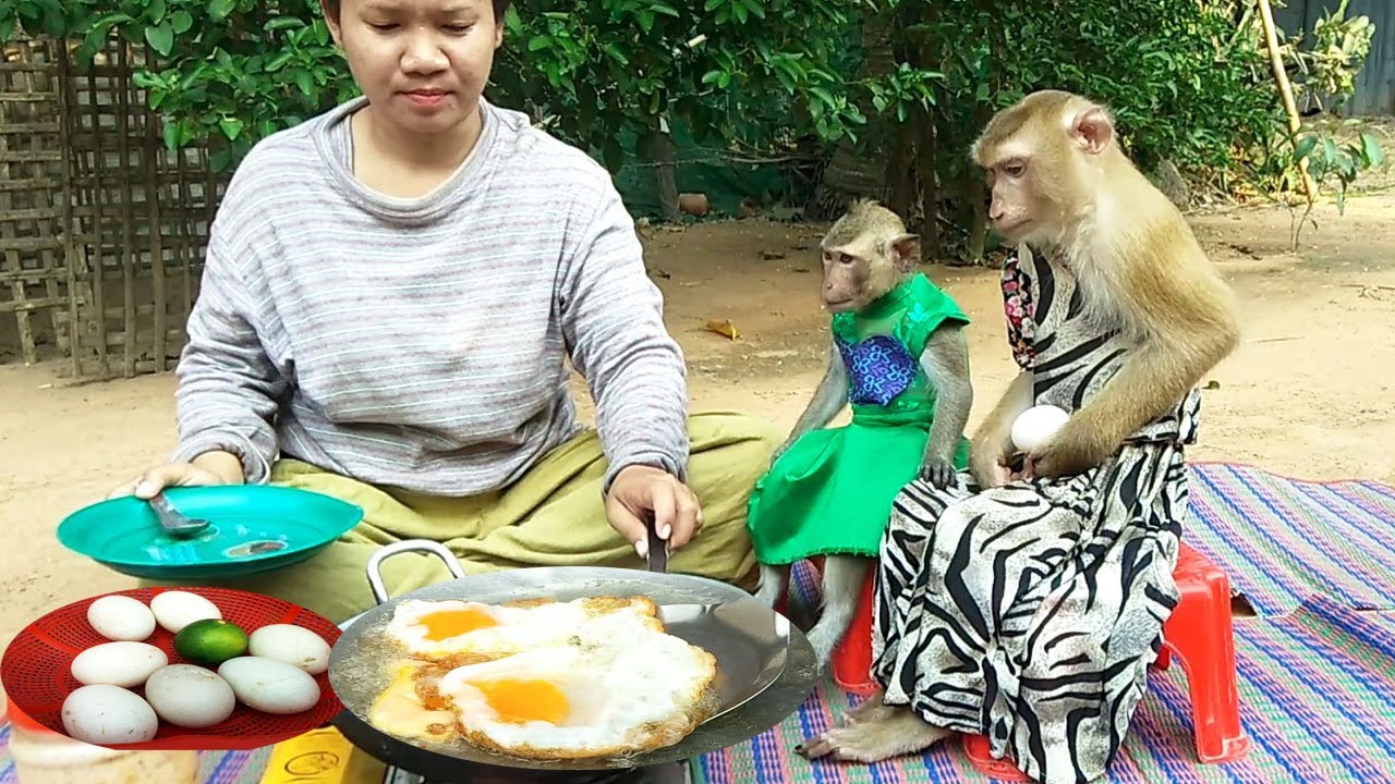 Omelet Cooking, YaYa And Shally Ready To Eat