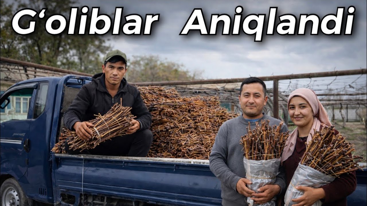 Gʻoliblarga Avatar va Manikyur Finger qalamchalari joʻnatiladi.  Sotuvdagi Qalamchalar Arzon narxda.