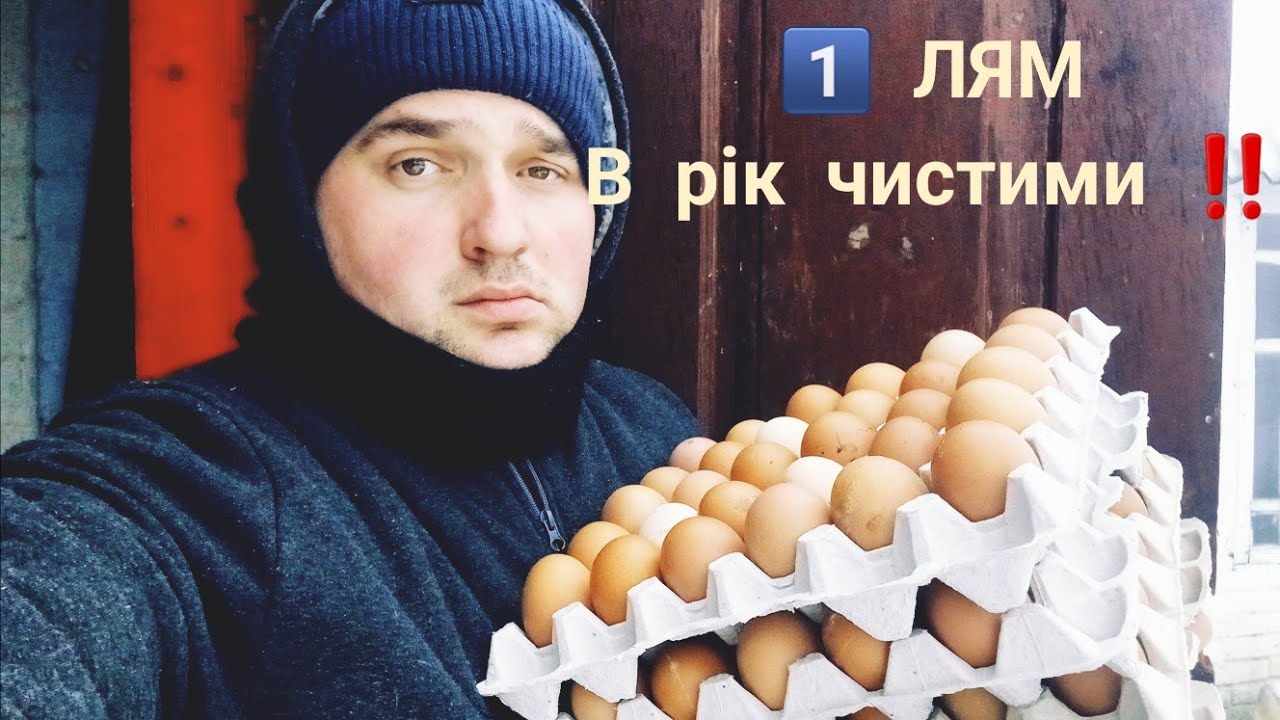 РЕАЛЬНО  1️⃣  ЛЯМ В РІК ЧИСТИМИ  ‼️ Курі Ломан Браун ‼️ Чи вигідно тримати ‼️