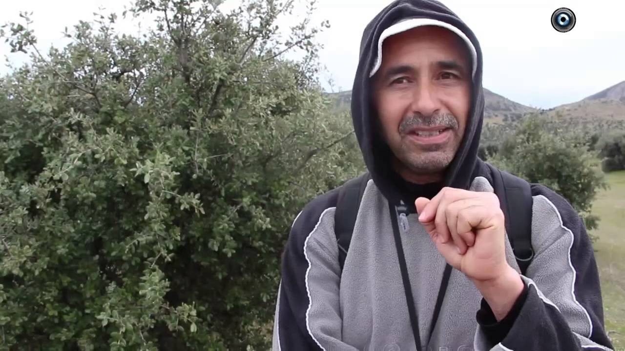 كنوز جبل تابينوت - خنيفرة 11 يناير 2015