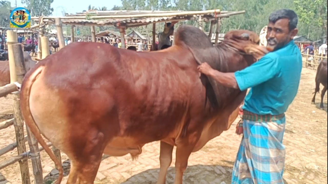 @ সোমবার ১৭ মার্চ