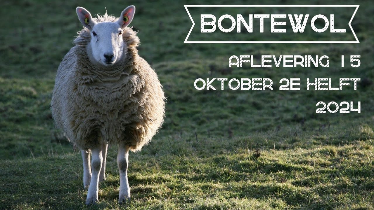 Bontewol, afl. 15 (oktober 2e helft, 2024)