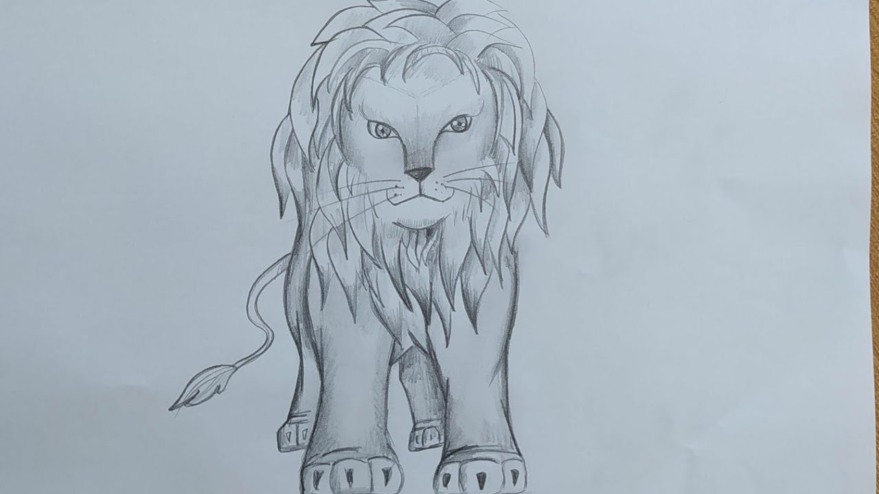 dessin lion facile étape par étape