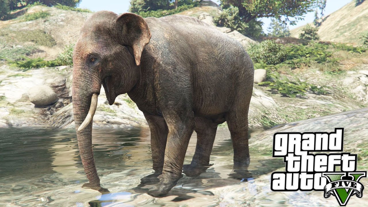 Elephant Mod